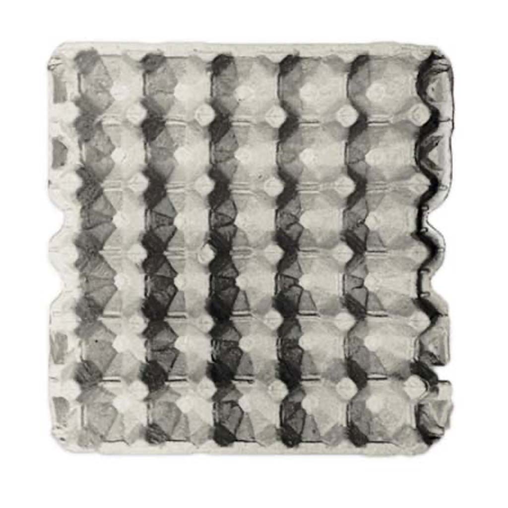 DR - EGG TRAY FLAT - HOLDS 30 EGGS