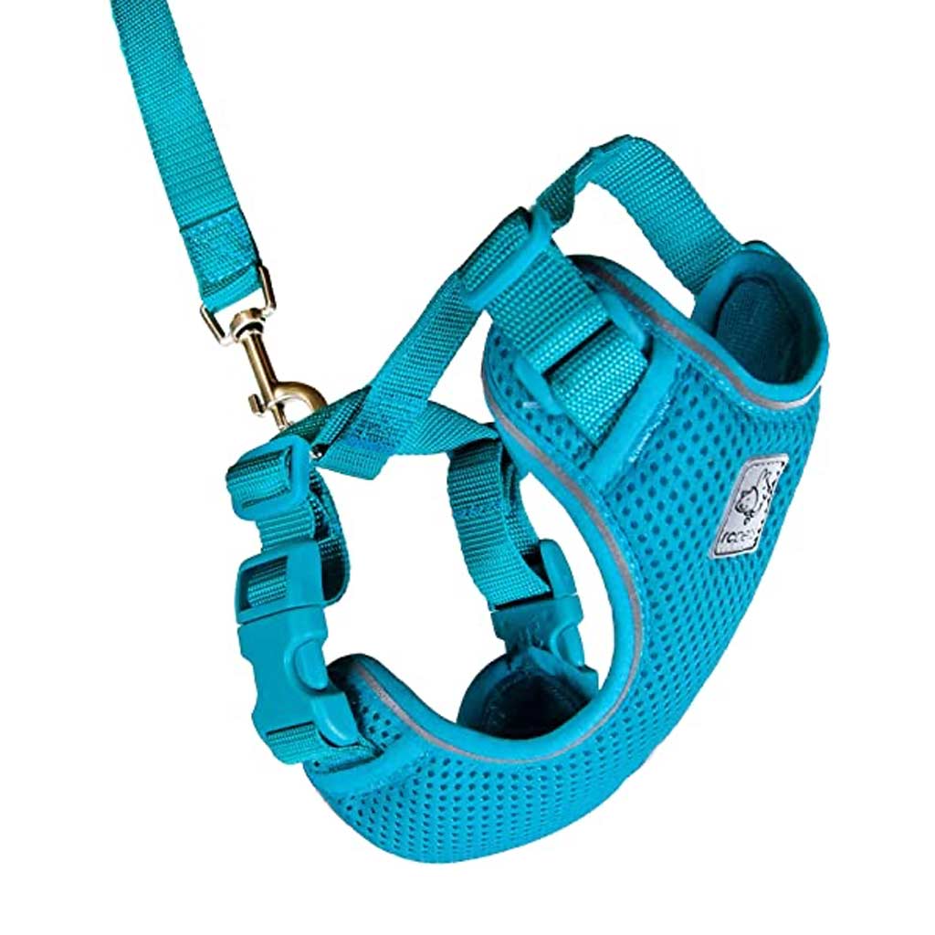 RC PET ADVENTURE KITTY HARNESS SM TEAL