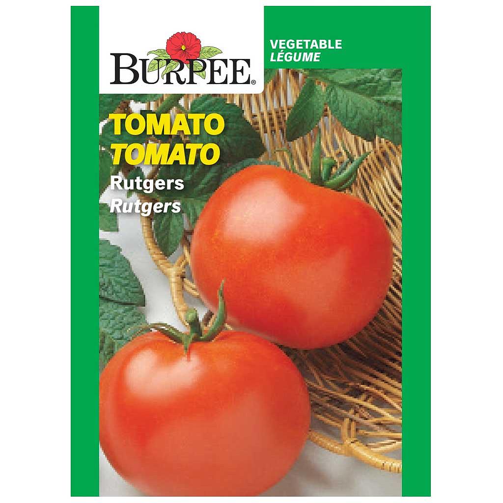 BURPEE TOMATO - RUTGERS