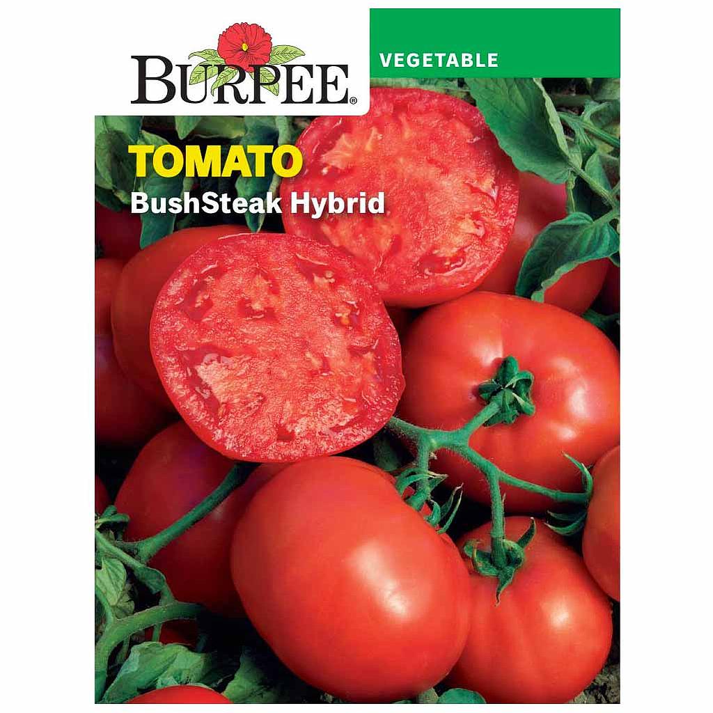 BURPEE TOMATO - BUSH STEAK HYBRID
