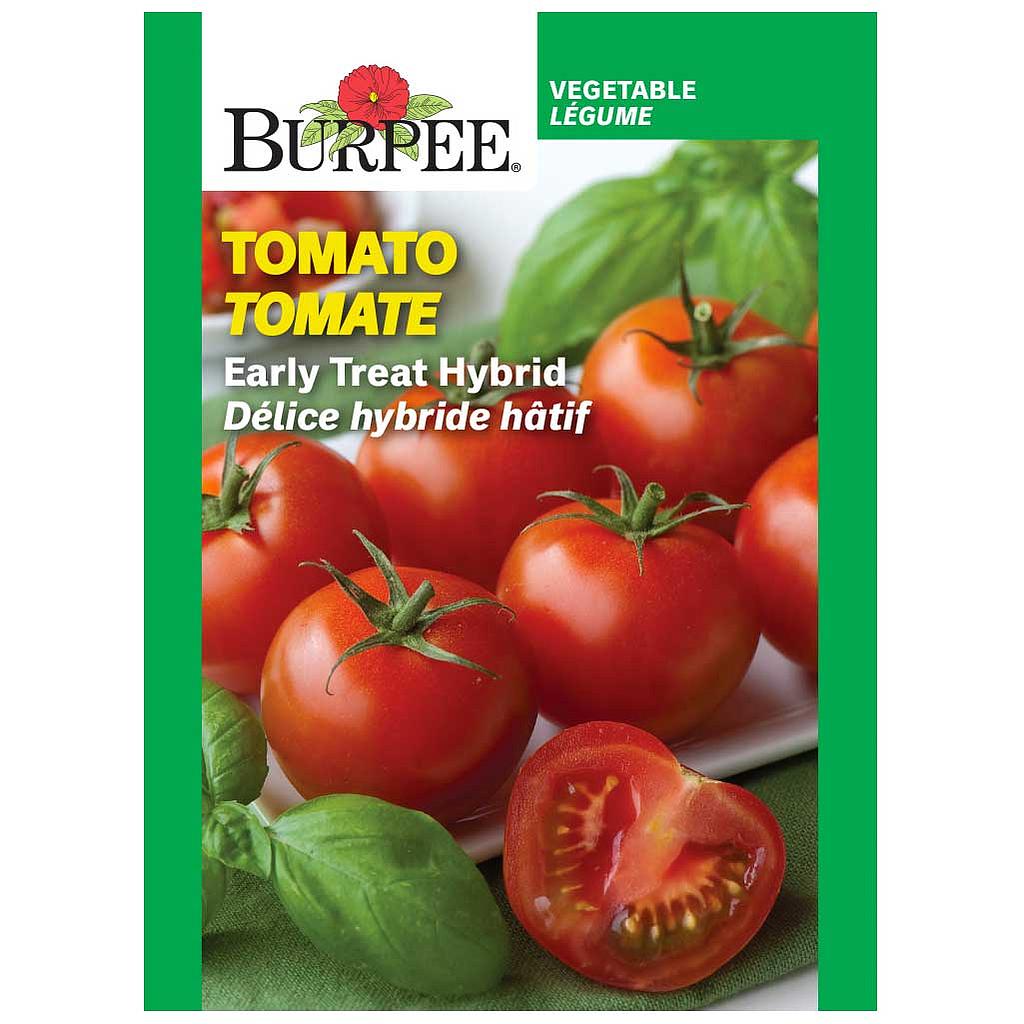 BURPEE TOMATO - EARLY TREAT HYBRID