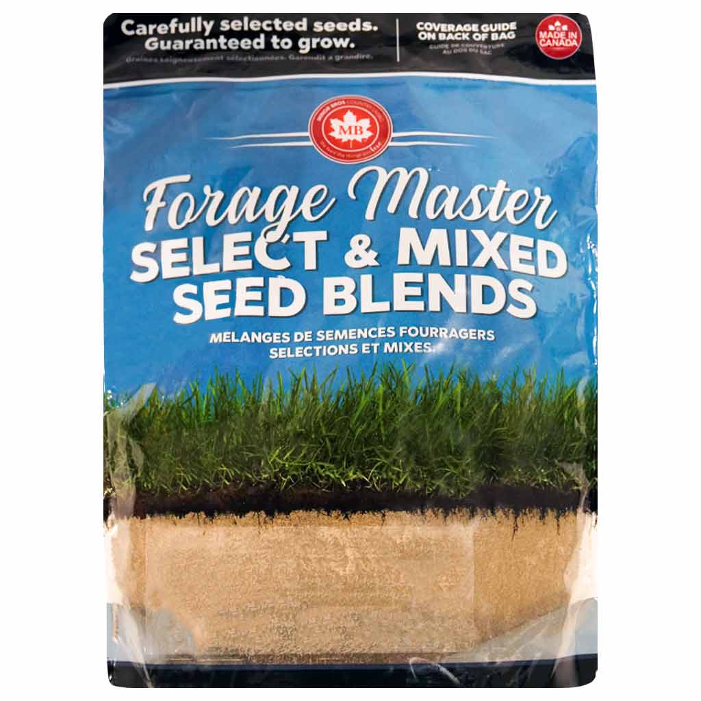 MB RED CLOVER DOUBLE COATED SEED 2KG