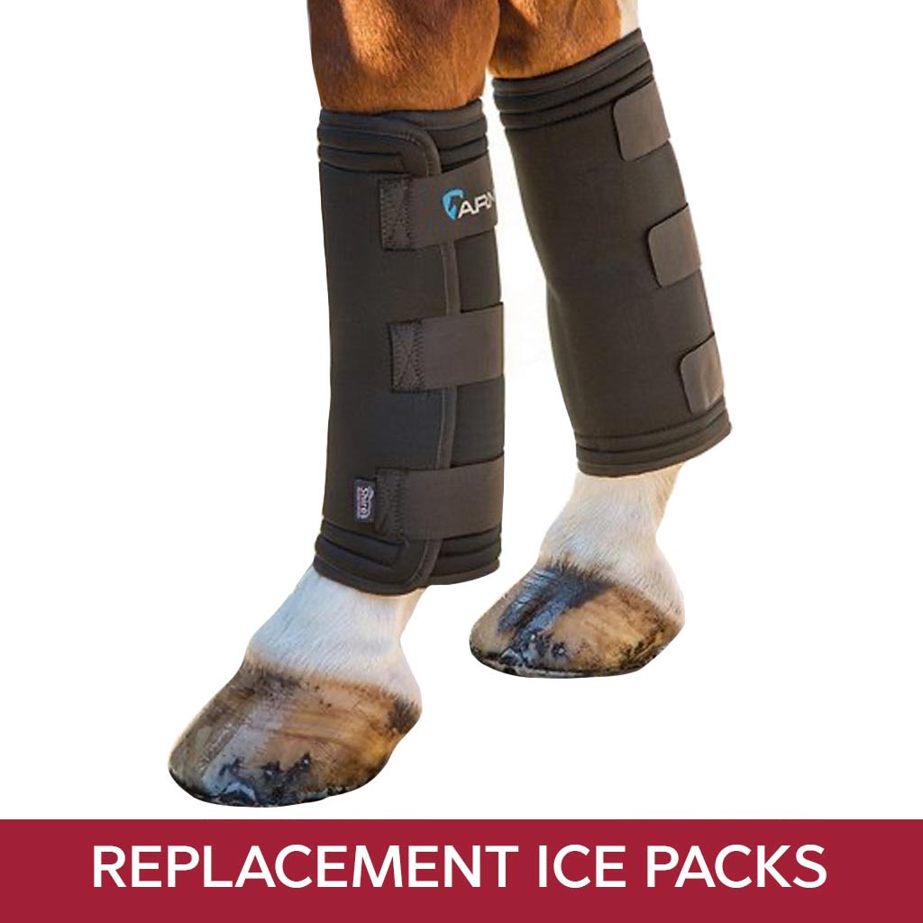 DMB - SHIRES ARMA HOT/COLD RELIEF ICE PACKS BLK