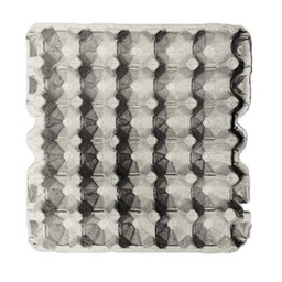 [10036252] DR - EGG TRAY FLAT - HOLDS 30 EGGS