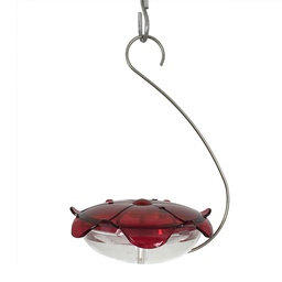 [10048972] DMB - DISH RUBY SIPPER HANGING CLEAR