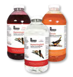 [10060052] DMB - PINEBUSH NECTAR CONCENTRATE CLEAR 32OZ