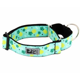 [10064660] DMB - RC PETS EASY CLIP WEB TRNG COLLAR LRG PINEAPPLE PARADE