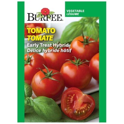 [10081356] BURPEE TOMATO - EARLY TREAT HYBRID
