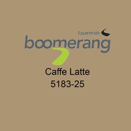[10030510] DV - BOOMERANG INTERIOR LATEX PAINT SATIN, CAFFE LATTE 3.78L